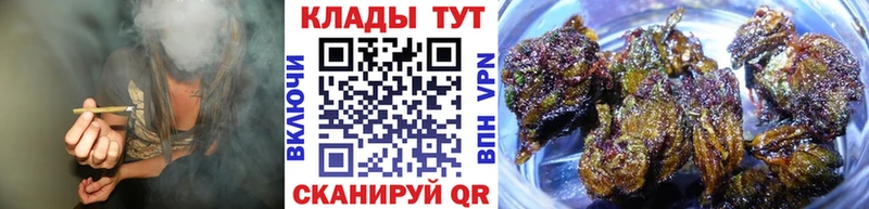 Купить наркотики сайты Сорочинск Канабис  Alpha PVP  Псилоцибиновые грибы  Меф  Лсд 25  Гашиш  COCAIN 