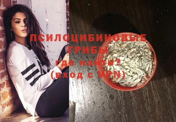 молекула духа Арсеньев