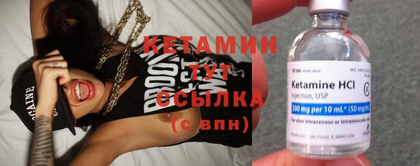 шишки Армянск