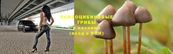молекула духа Арсеньев