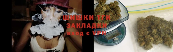 молекула духа Арсеньев