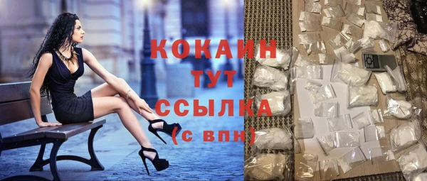шишки Армянск