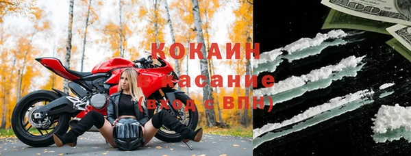 молекула духа Арсеньев