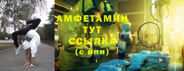 молекула духа Арсеньев