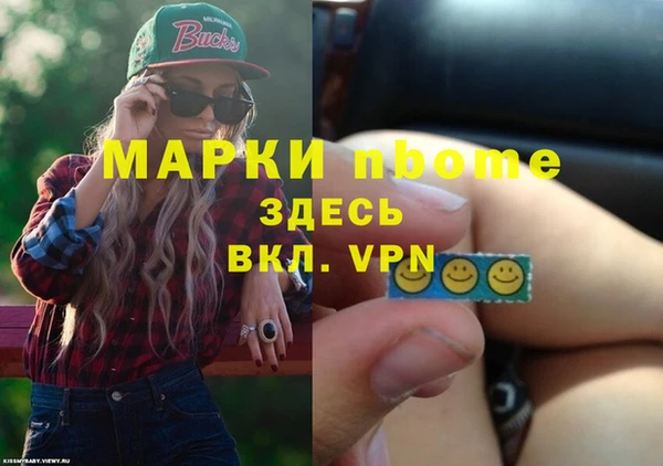 молекула духа Арсеньев